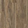 00726 - Lombardy Hickory