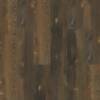 00812 - Forest Pine