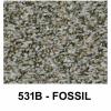 531B - FOSSIL