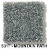 531T - MOUNTAIN PATH