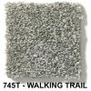 745T - WALKING TRAIL