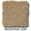 166 - Mountain Lion