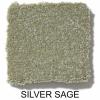 360 - Silver Sage