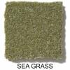 361 - Sea Grass