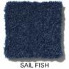 462 - Sail Fish
