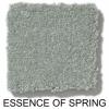 470 - Essence of Spring