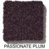 962 - Passionate Plum