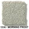 131A - MORNING FROST
