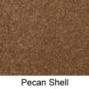 00203 - Pecan Shell