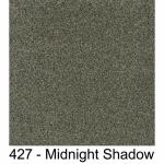 427 - Midnight Shadow